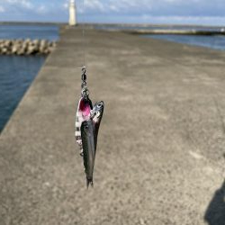 ベイトの戯れ　2