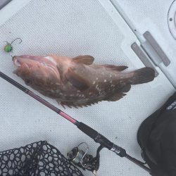 久しぶりの釣り