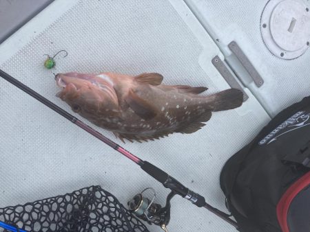久しぶりの釣り
