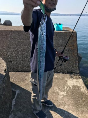 アオリイカ不発