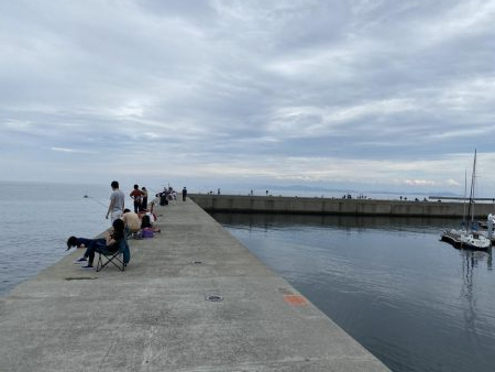 淡路でエギング