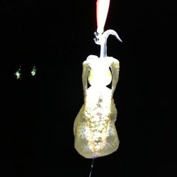 田ノ浦新子調査