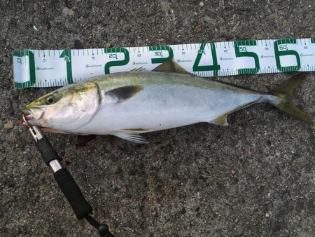 ミドル級ナイスファイター