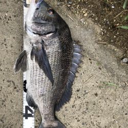 イチノ兄弟、釣果！