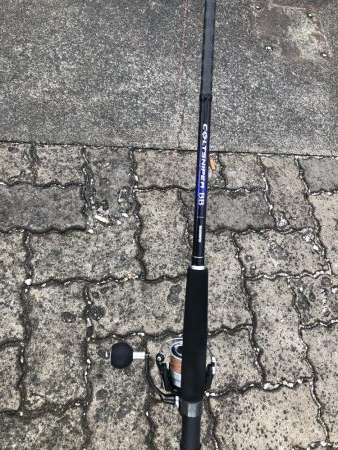 帰ってきたサゴシ