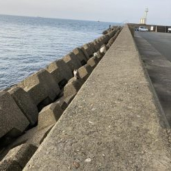 初めてのヒラメ