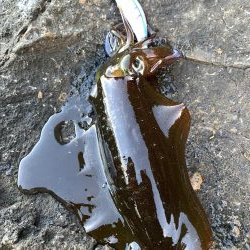 爆風&ウネリ釣行