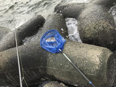 激シブの中、なんとかチヌ1枚