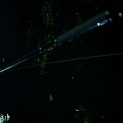 強風で海ゴミだらけ