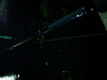 強風で海ゴミだらけ