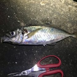 色々やってみました