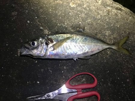 色々やってみました