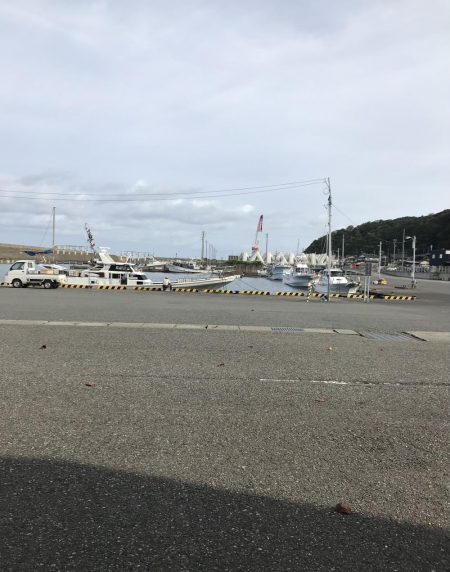 ダイソーエギスパートでイカ釣れます！！