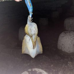 台風の影響は？