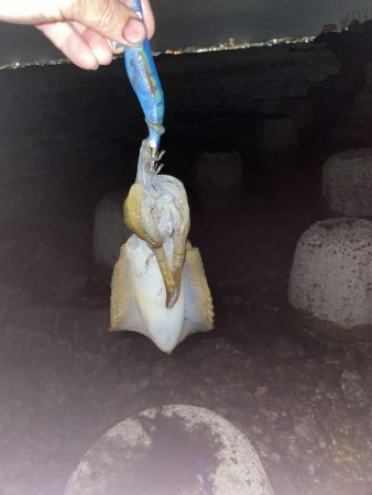 台風の影響は？