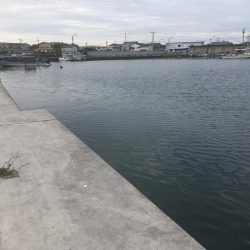 たかたか釣り日記