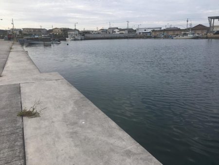 たかたか釣り日記