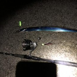 太刀魚遠征4回目