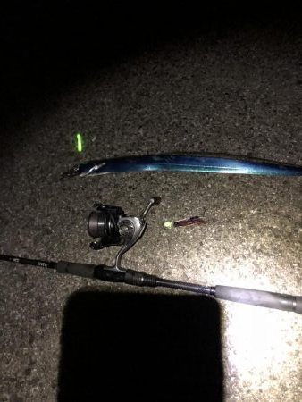 太刀魚遠征4回目