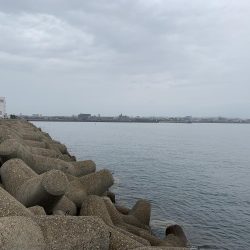 えーそ！エソ‼︎