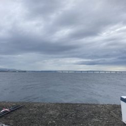 泉佐野一文字 青物爆釣