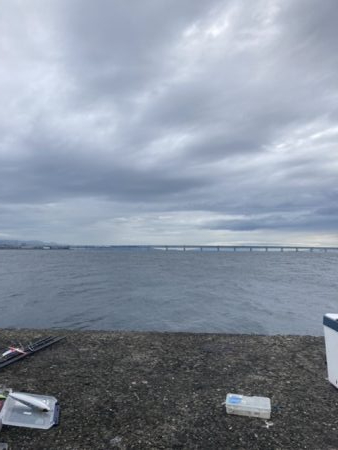 泉佐野一文字 青物爆釣