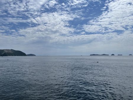 釣り禁だらけで…