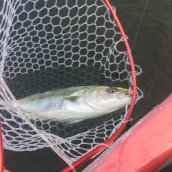 カヤックで初の獲物