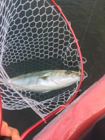 カヤックで初の獲物