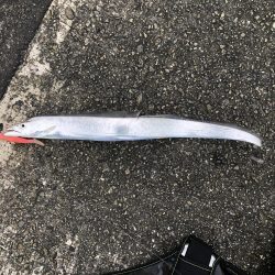 雨上がりは渋い。