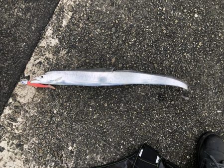 雨上がりは渋い。