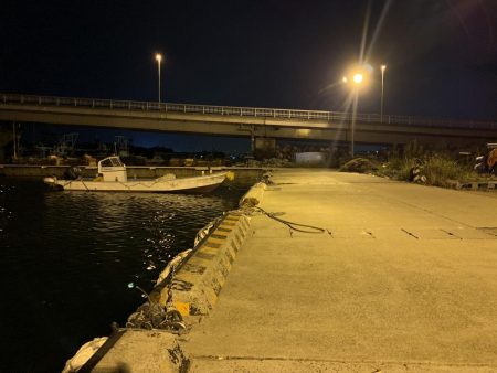 アジが釣れた！