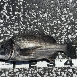 イチノ兄弟、釣果!