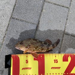 小さな岩の隙間を探っていくと…