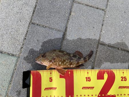 小さな岩の隙間を探っていくと…