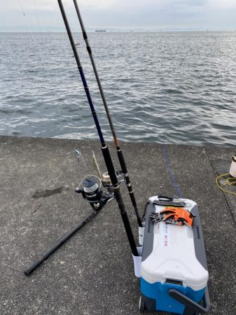 夕方にギリ、メジロ