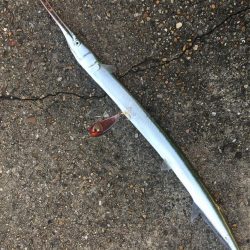 ショアジギング