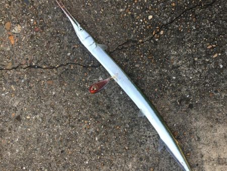 ショアジギング