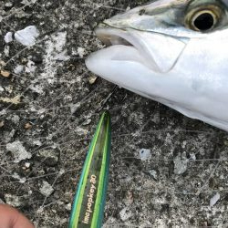 今日はトップで