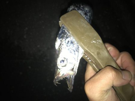 夕マズメの太刀魚釣り