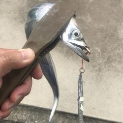 朝マズメの太刀魚釣り