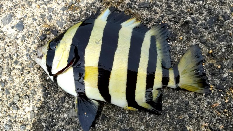 小物ばかりです