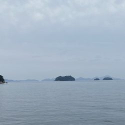 なんとかガシラ