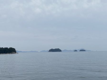 なんとかガシラ