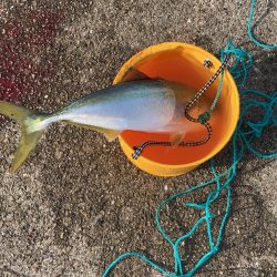 諦めムードの中で！