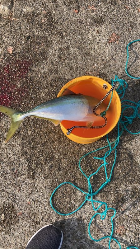 諦めムードの中で！