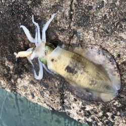 長時間耐久の結果は？