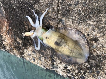 長時間耐久の結果は？