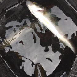 ファミリーフィッシング1