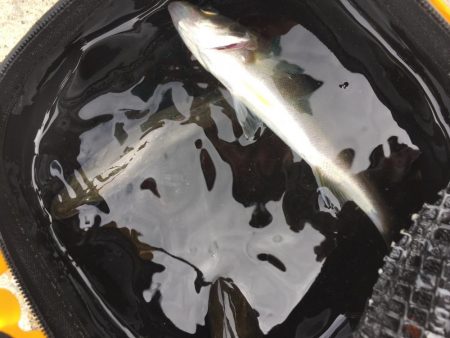 ファミリーフィッシング1